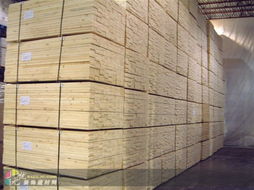 上海建材市場(chǎng)供應(yīng)優(yōu)質(zhì)云杉，助力城市建設(shè)與家居裝修